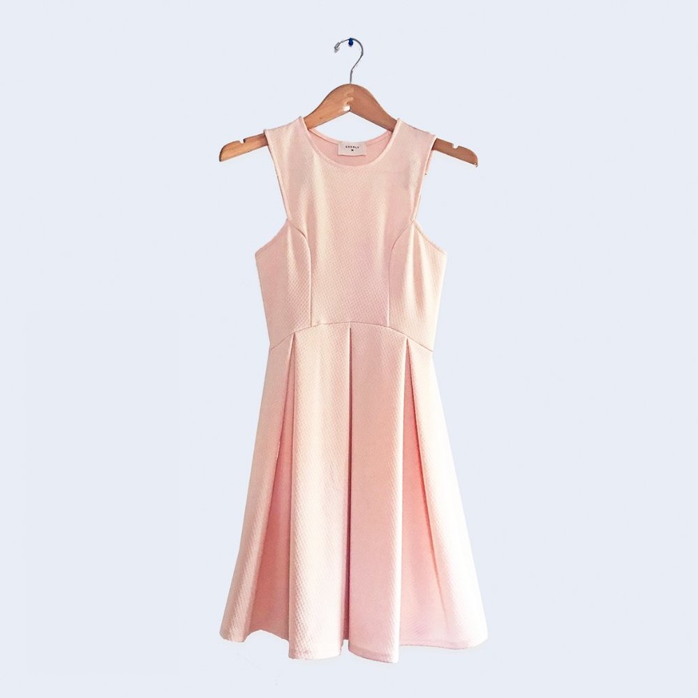 🍭Sale🍭EVERLY Blush Skater A-Lined Pleated Dress